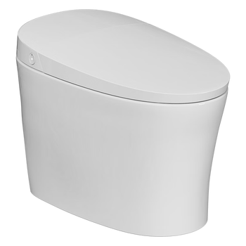 真实测试：瑞尔特智能马桶的整体表现如何？