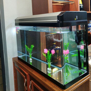 宝贝故事品牌热弯玻璃鱼缸水族箱价格走势及评测