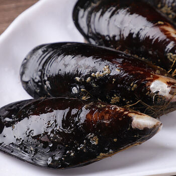 腾旺纳跃新鲜海虹舟山贻贝青口贝当季鲜活淡菜海鲜水产贝类冷链1斤装