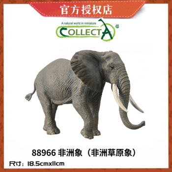 COLLECTA【Wild Life非洲动物】动物模型玩具 早教认知 儿童礼物 常见动物 88966 非洲草原象
