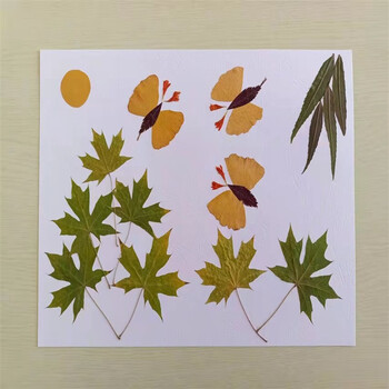 诗行树叶 粘贴画幼儿小学生树叶粘贴画真树落叶秋叶diy手工 蝴蝶飞舞