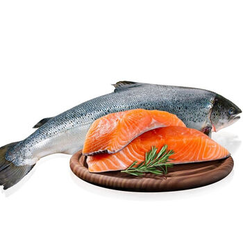 瀚元汇鲜三文鱼整条12-14斤海鲜水产日式料理冰鲜刺身挪威鲑鱼 1条