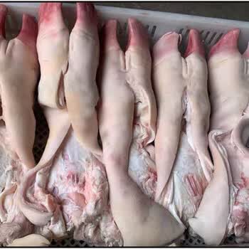 头号食客 新鲜去骨牛蹄  带爪头 带牛蹄筋牛蹄子牛皮牛脚 10斤