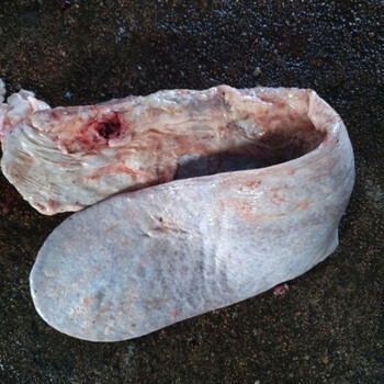 牛新鲜冷冻牛沙肝牛胰脏牛脾火锅食材 6斤