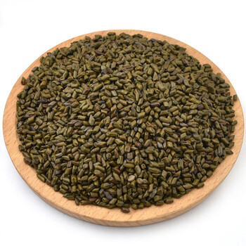 决明子500g 宁夏生草决明 生决明子草决明新货