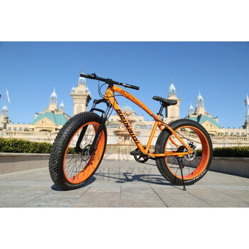 蒂曦芸大轮胎自行车用沙滩自行车金钱豹雪地车20/24/26寸4.