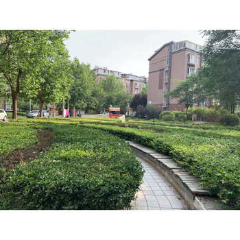 DBC加州小镇117号楼1单元401号