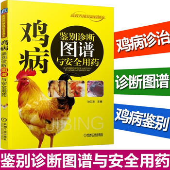 鸡病鉴别诊断图谱与安全用药孙卫东鸡病诊断与治疗防治书籍 摘要书评试读 京东图书