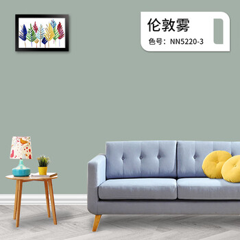 【官方精品】多乐士(dulux)旗舰乳胶漆多乐士乳胶漆室内彩色白 网红