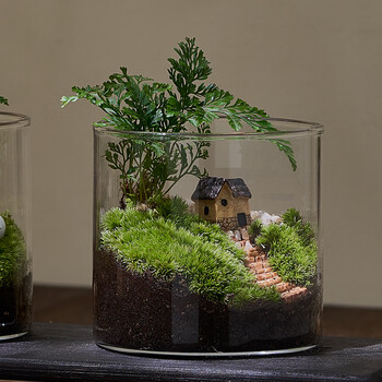 八芽趣味鲜活苔藓微型景观创意室内桌面生态绿植盆栽盆景懒人好养植物 山野人家 带玻璃杯