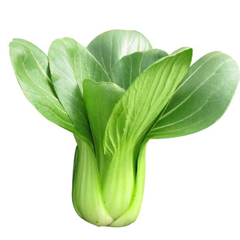 上海青小青菜 四季小白菜上海青菜小油菜时令应季蔬菜 500g单人食