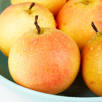 鞍山南果梨子辽宁香水梨东北特产新鲜水果当季礼盒5斤装大果