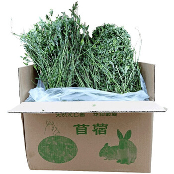 紫花苜蓿草兔草兔粮兔子干草龙猫吃的牧草饲料豚鼠荷兰猪粮食一公斤箱装苜蓿草一公斤箱装 图片价格品牌报价 京东 紫花苜蓿草兔草兔粮兔子干草龙猫吃的牧草饲料豚鼠荷兰猪粮食一公斤箱装苜蓿草一公斤箱装 图片价格品牌报价 京东
