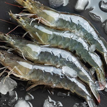 鲜拔头筹青岛大虾海捕4斤  盐冻虾特大号海虾海鲜水产白虾鲜冻青虾斑
