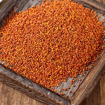 北京同仁堂中药楮实子中药材 纯正褚实子 楮实子 新鲜干货内廷上用