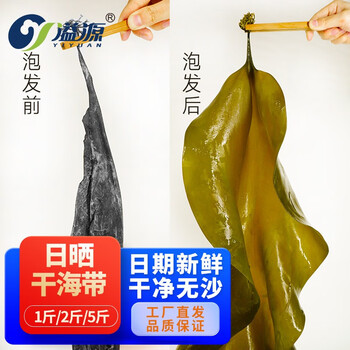 探索令人向往的藻类商品及价格走势