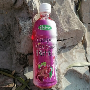 恒愎500ml15瓶橙汁饮料整箱饮品瓶装夏季解暑葡萄汁多口味混合紫葡萄