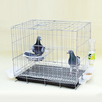 筱宠鸽子笼养殖笼鸽子配对笼笼子繁殖鸽笼折叠鸽子笼家用双层粗604248