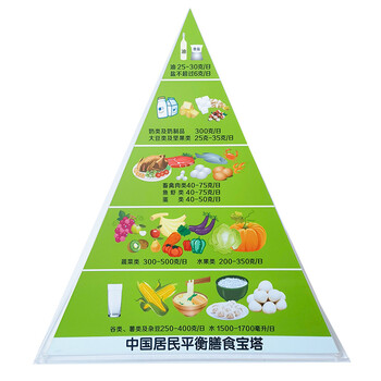 膳食宝塔食物模型 中国居民平衡膳食宝塔模型通用版儿童营养指导模型