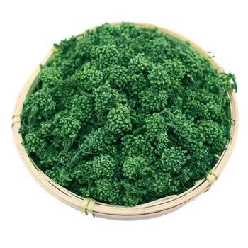 长白山人参花茶大花蕾新货人参花特级50g100g250g500g1斤八年人参花