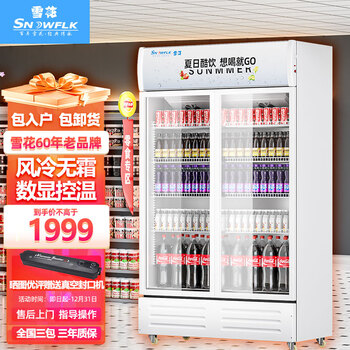 雪花【现货送货入户】雪花（SNOWFLK）商用冰柜冰箱展示柜保鲜柜立式冷藏柜商用冷藏展示柜饮料柜冷柜 双门风冷【风冷无霜】