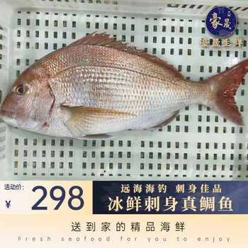 真鲷鱼海钓加吉鱼新鲜鲷鱼深海班加吉加地真鲷鱼铜盆鱼鲜活刺身 2.5-3.5斤【图片 价格 品牌 报价】-京东
