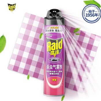 雷达杀虫气雾剂清香600ml整箱驱杀蚊子苍蝇蟑螂及蚂蚁飞虫杀虫水除虫剂杀虫剂驱蚊双控喷头喷雾剂喷灌 600ml×1瓶 雷达