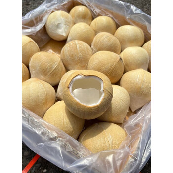 jdnxx泰国奶香椰皇新鲜进口水果5个10个孕妇儿童重庆双福水果10个