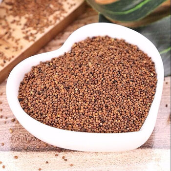 中药材正宗菟丝子内蒙特级吐丝子兔丝子菟丝籽茶泡酒颗粒 1000g