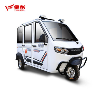 金彭畅行电动三轮车家用豪华带篷车拉客老人代步老年电瓶车全封闭接送