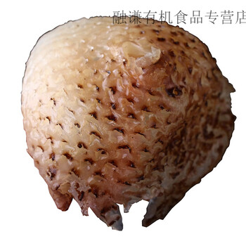 苏伯大号刺龟鱼皮刺龟皮海胆皮刺豚皮海刺海产干货煲汤250克 250克大号(内含2-4个)【图片 价格 品牌 报价】-京东
