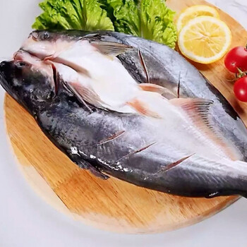 【鲜鱼急冻】健康带皮开背巴沙鱼整条湄公鱼烤鱼. 2条【2斤-2.