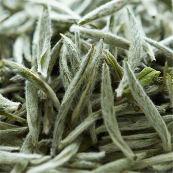 5折 福鼎白毫银针荒野新茶礼盒装特级茶叶白茶见家长150g