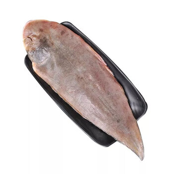 新鲜龙利鱼去皮去内脏粗鳞舌头鱼舌鳎鱼深海鱼无刺去肚特大 特大龙利