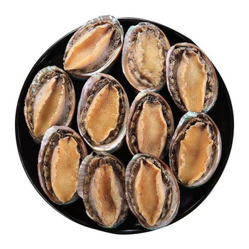 greenhow鲜活冷冻鲍鱼海鲜水产特大顺丰 3斤 12头