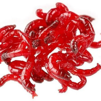 津红虫红虫鲜活红虫子鲜活价挂钩新鲜大红虫冷冻 号15