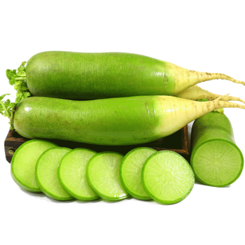 恒泰 正宗潍坊萝卜 5斤