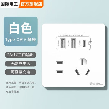 国际电工双USB插座面板20W快充墙壁无需充电头Type-c家用五孔插座 五孔2.1A双USB+type-c【白色】