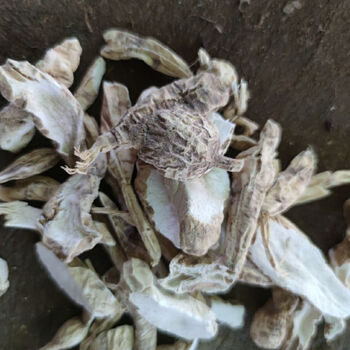 老鼠拉冬瓜 马交儿 土花粉 土白蔹中药材 干货野生500克 1000克