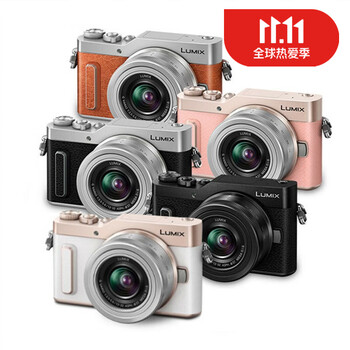 松下（Panasonic）入门4k高清 GF2 GF3 GF5 GF6 GF7  旅游 文艺微单相机 【现货】GX1机身【不含镜头】95新 标配