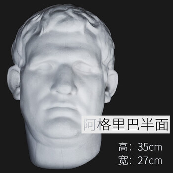 挂面石膏像挂墙人物石膏半面石膏教具温妤 阿格里巴-实面 35cm