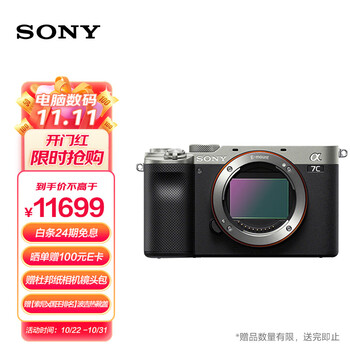 索尼（SONY）Alpha 7C 全画幅微单数码相机 轻便小巧 实时眼部对焦 银色 （A7c/a7c/a7c）