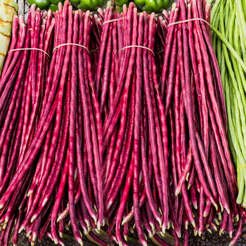 农之子(nongzhizi)红豇豆种子长红缸豆种籽长豆角蔬菜紫豆角 朱妍红