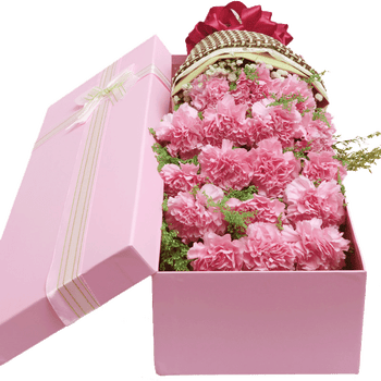 梦馨鲜花速递19朵红玫瑰鲜花礼盒向日葵康乃馨花束礼盒同城送花19朵粉色康乃馨礼盒 图片价格品牌报价 京东