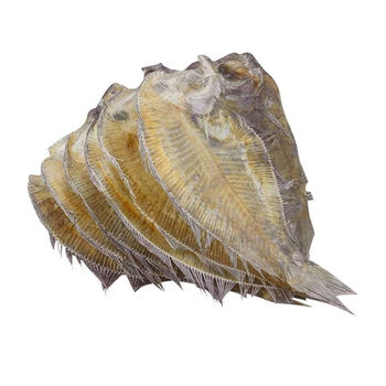 正宗大地鱼干500g淡干生晒比目鱼偏口鱼大号翅脯铁脯左口鱼250g aaa