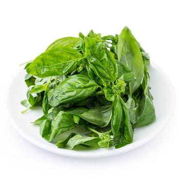 洽乐 新鲜罗勒叶500g 西餐意大利面香料配菜食材