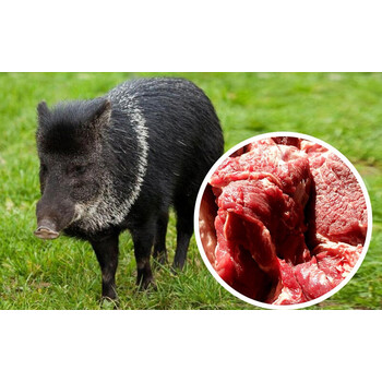 东北特产农家散养新鲜山猪肉生猪黑猪野猪肉土猪肉五花肉1000g