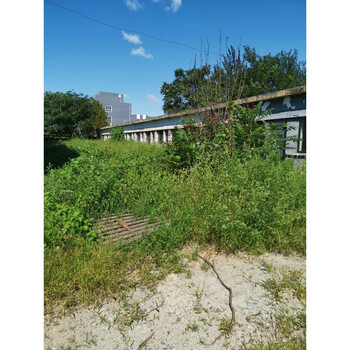 北房镇通汇路3号土地及房产