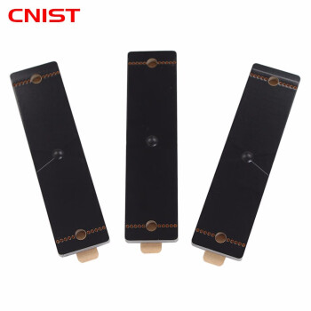 CNIST 超高频RFID抗金属电子标签 固定资产管理 UHF射频识别远距离自感应 CN7919P(79mm*19mm*10个）