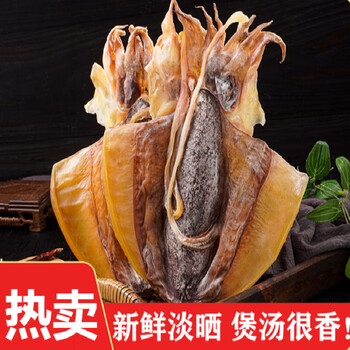 lism 北海淡水大墨鱼干特海鲜干货目鱼小乌贼木鱼干500g级海产品 小号